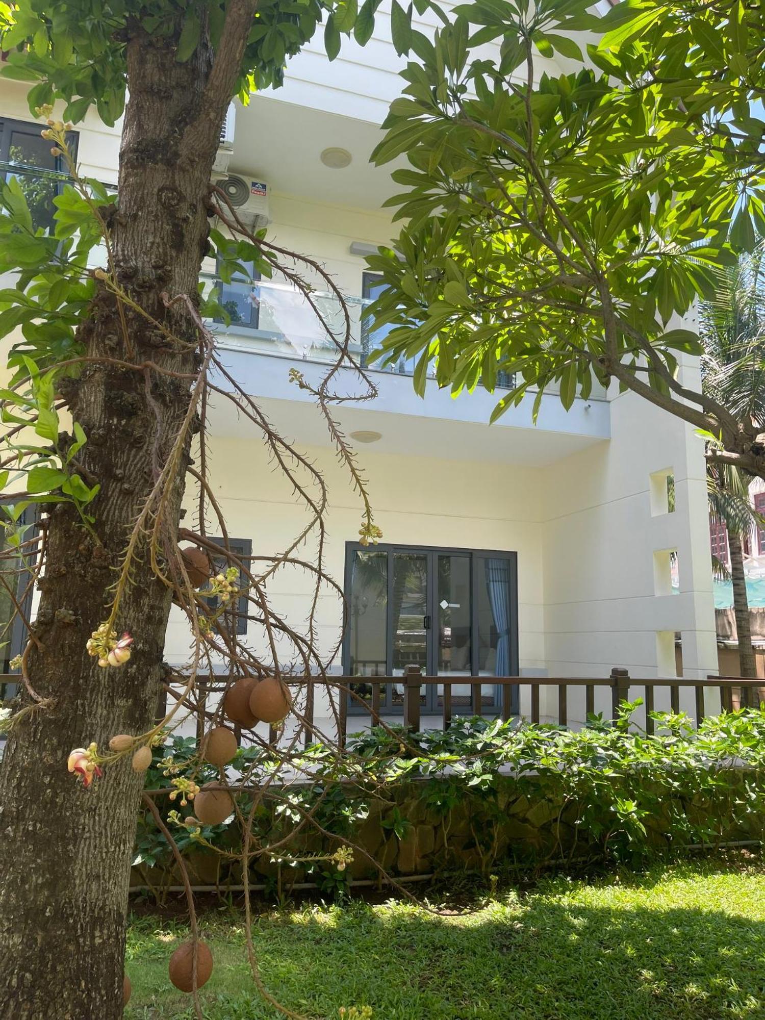 โลตัส วุงเตา รีสอร์ต Hotel หวุงเต่า ภายนอก รูปภาพ